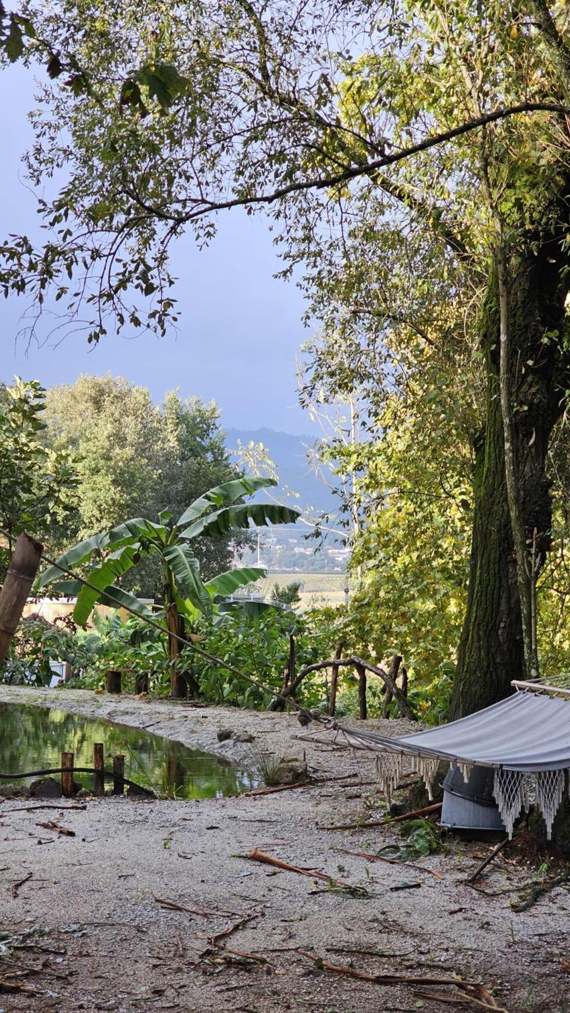 فندق Quinta Miminel Rabuide المظهر الخارجي الصورة